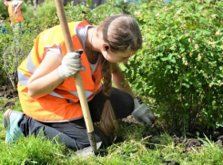 Астраханские подростки все чаще предпочитают работать во время летних каникул