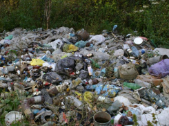 На сельхозугодиях Астраханской области обнаружены очаги отходов и навоза