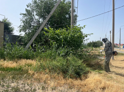 В Астрахани усилили работу по скосу сорной растительности 