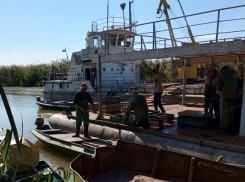 Больше 700 астраханцев ушли работать в сферу добычи рыбы за осеннюю путину