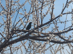 Погода, праздники, именины в субботу 13 апреля