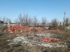 На севере Астраханской области обнаружили свалку репчатого лука