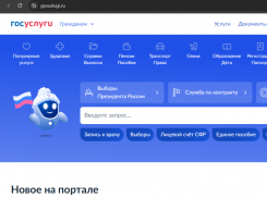 Астраханцы пожаловались на кражи личных кабинетов в госуслугах