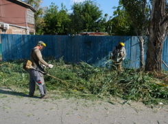 Астраханцев призвали косить сорную траву ради безопасности