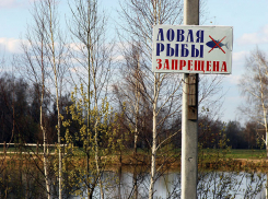В Астраханской области установлены запретные для рыбалки места