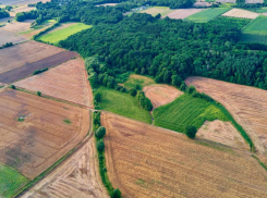 В Астраханской области чиновник передал сельхозучасток в аренду за крупную взятку