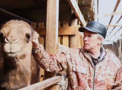 Астраханский фермер планирует вывести шубат на международный рынок