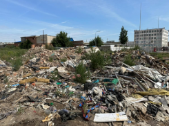 Росприроднадзор подал в суд на администрацию Астрахани за свалку строительных отходов