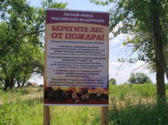 За пожароопасный сезон в Астрахани выявлено 260 правонарушений