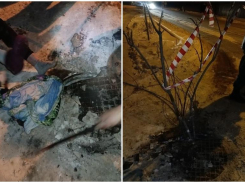 Астраханка попала в коварную ловушку канализационного люка