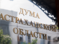 Деятельность Думы Астраханской области в 2025 году