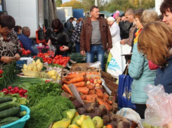 Астраханцам устроят сельхозярмарку с акцентом на рыбу