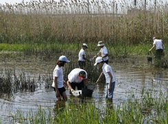 В Астраханской области сформировали 80 «Голубых патрулей»
