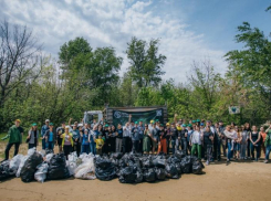 В Астрахани волонтеры собрали с Городского острова 88 мешков мусора
