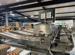 Шесть астраханских компаний добились успеха благодаря федеральному проекту