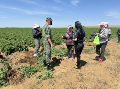 В Астраханской области продолжается операция «Нелегал»