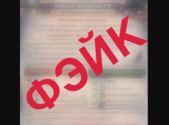 Астраханцев напугали фейком о праве полиции проверять телефоны на запрещенку