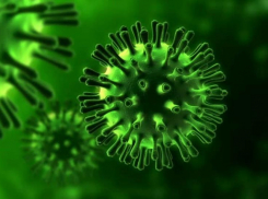 За 17 октября в Астраханской области выявлено 23 случая заражения COVID-19