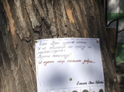 Астраханцы не оценили акцию в память погибшей девочки