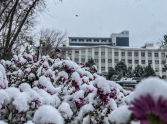 Погода, праздники, именины в пятницу 8 декабря