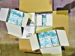 Сотрудники астраханской таможни конфисковали более 7,5 тонн иностранных гигиенических товаров