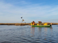 В ильмень под Астраханью выпустили 220 крякв