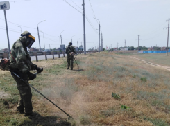 С начала года в Астрахани скосили более ста гектаров сорной травы