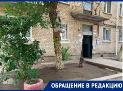 «Это не природа, это квартира»: как живут астраханцы в Военном городке