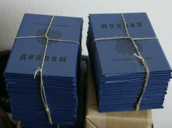 Астраханского дознавателя приговорили к 8 месяцам за поддельный диплом