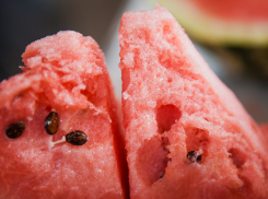 «То, что приводит в восторг гурманов»: россияне предпочитают Астрахань морю