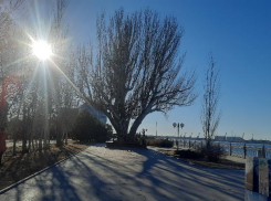 В последнее воскресенье января в Астрахани будет до +6: прогноз на 29 января