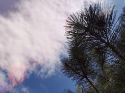 В четверг астраханцев ждет безветренная, ясная погода: прогноз на 24 ноября