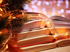 В астраханской модельной библиотеке проведут три новогодних мероприятия