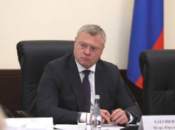 Астраханский губернатор провел второе заседание новой комиссии Госсовета