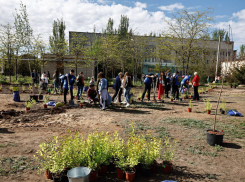 Названо количество астраханцев, принимавших участие в месячнике чистоты 