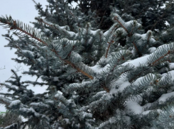 В Астраханской области прогнозируют рост ДТП из-за надвигающихся осадков