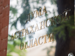 Российское правительство поддержало инициативу Думы Астраханской области