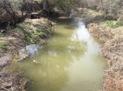 В охране водных ресурсов Астраханской области выявили пробелы