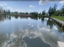 Прогноз погоды, именины, праздники в Астрахани в четверг  22 июня