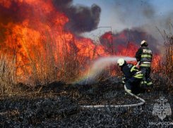 Под Астраханью тушили тростниковый пожар на 1000 квадратных метров