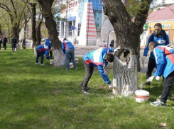 Больше 400 человек вышли на масштабную уборку астраханских улиц