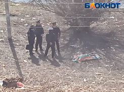 В Астрахани обнаружили изгрызенный собаками труп мужчины
