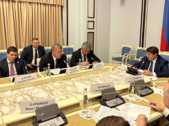 Астраханский губернатор обозначил цели «Великого Волжского пути» на совещании в Москве