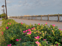 Погода приготовила астраханцам сплошные сюрпризы