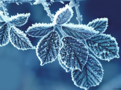В последний день осени астраханцев ждет мороз: прогноз на 30 ноября