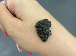 В России пресекают продажу китайской черной икры под видом астраханской