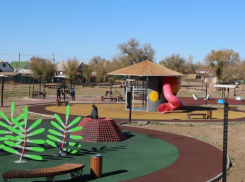 В Астраханской области выявили парки, не приспособленные для инвалидов