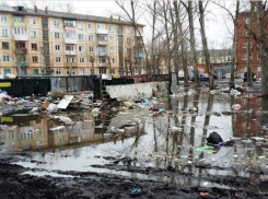 Фото дня: астраханская весна во всей красе