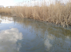 Казачий ерик в Астрахани стал водоемом нечистот