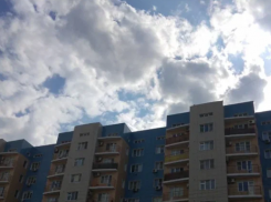 В Астрахани обнаружили животное, зараженное бешенством